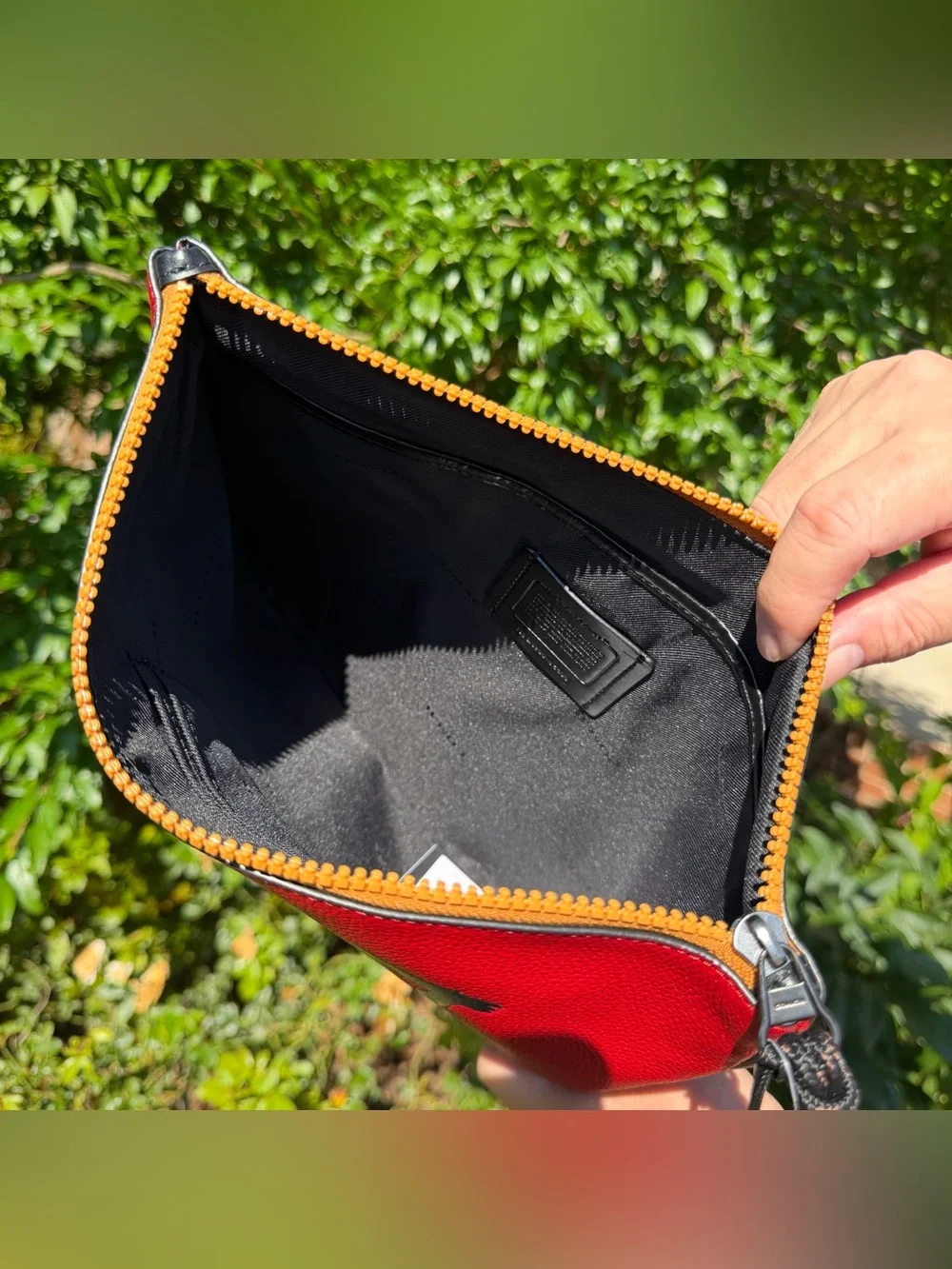 NWT Coach Pouch 30 With Rexy By Guang Yu 75508 - Picture 9 of 12